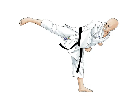 ushiro-geri