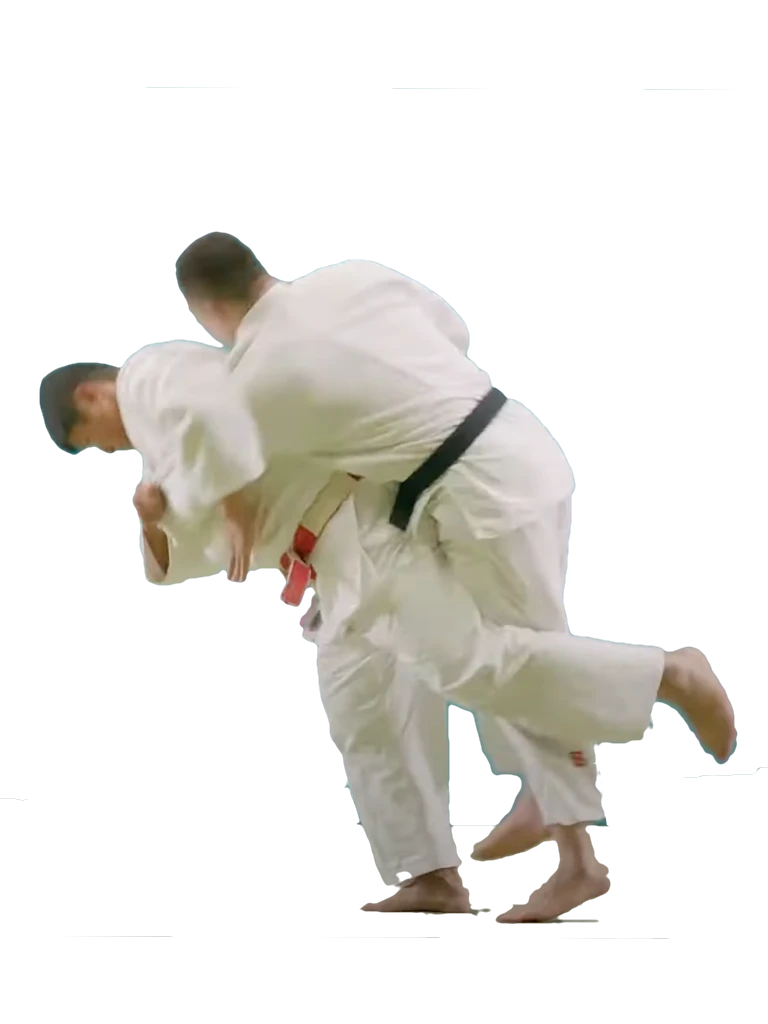 harai-makikomi