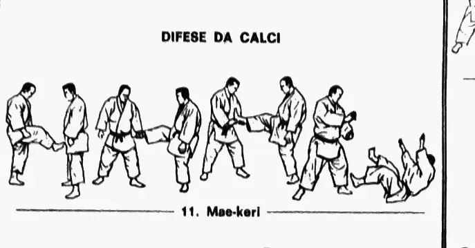 Mae Geri