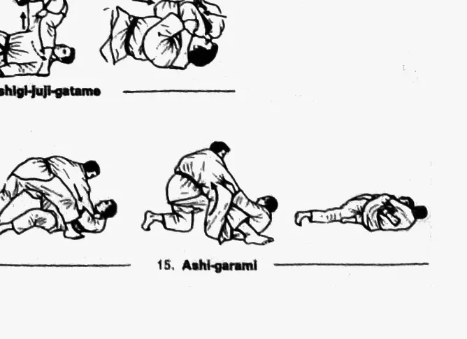 Ashi Garami