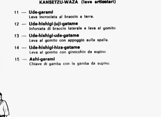 Kami Shiho Gatame