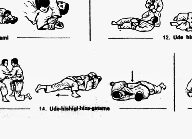 ude-hishigi-hiza-gatame
