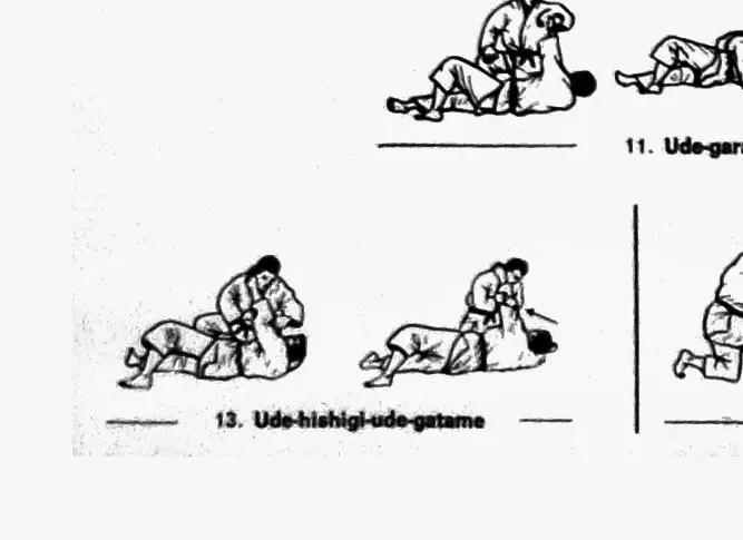 ude-hishigi-ude-gatame